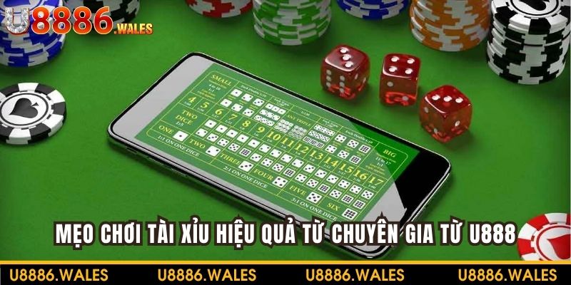 Mẹo Chơi Tài Xỉu Hiệu Quả Từ Chuyên Gia Nhà Cái U888
