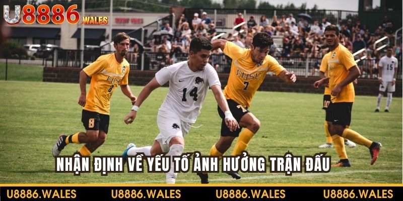 Xem xét yếu tố ngoài lề để tiến hành cá cược hiệu quả