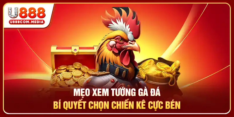 Mẹo Xem Tướng Gà Đá