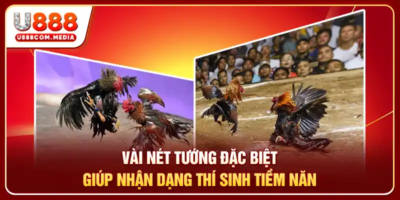 Vài nét tướng đặc biệt giúp nhận dạng thí sinh tiềm năng